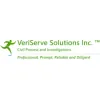 VeriServe Solutions